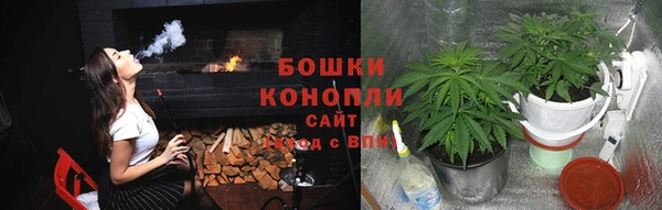 2c-b Алзамай