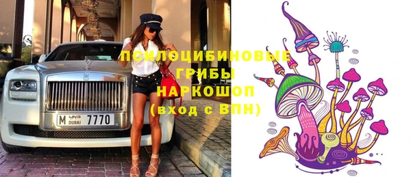 дурь Алексин