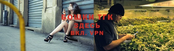 тгк Пестово