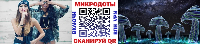 Галлюциногенные грибы Psilocybe  Анжеро-Судженск 